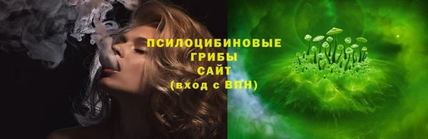 эйфоретик Богородск