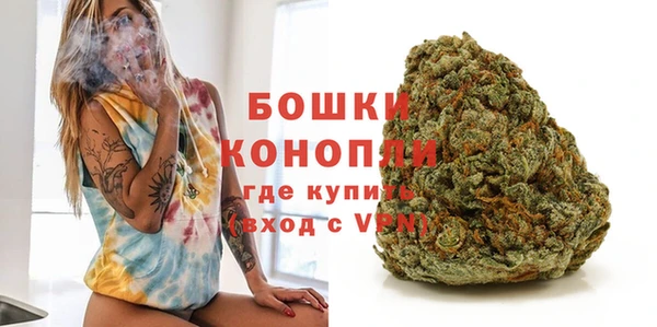 соль ск Богородицк