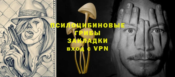 соль ск Богородицк