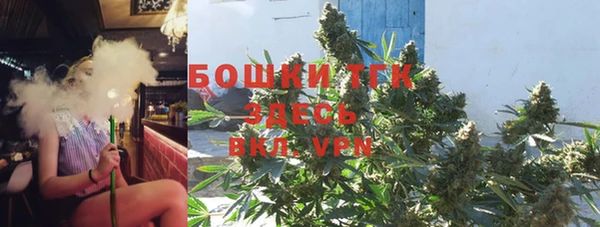 соль ск Богородицк