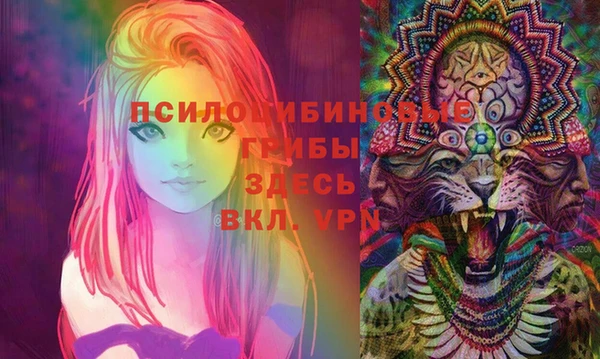 эйфоретик Богородск